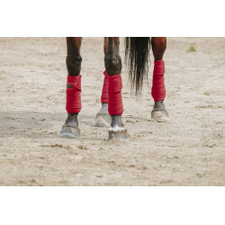 Polo-Bandagen Equithème, 4er-Set Polo-Bandagen Equithème, 4er-Set