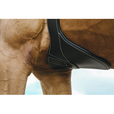 Anatomischer Gurt Magnet Norton Anatomischer Gurt Magnet Norton