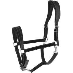 Ardenner Halfter Norton Ardenner Halfter Norton