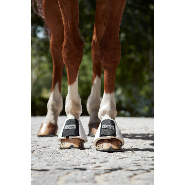 Glocken Probell Horze Weiß Wei&szlig;