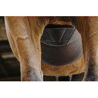 Sangle bavette Magnet Norton Havane Sangle bavette Magnet Norton Havane