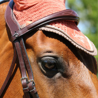 Kombinierte Reithalfter-Trense Anatomisch Dy'on New English Collection Braun