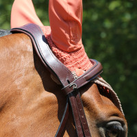 Kombinierte Reithalfter-Trense Anatomisch Dy'on New English Collection Schwarz