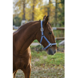 Nylonhalfter Spring Equithème Nylonhalfter Spring Equithème