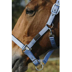Nylonhalfter Spring Equithème Nylonhalfter Spring Equithème