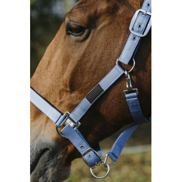 Nylonhalfter Spring Equithème Nylonhalfter Spring Equithème