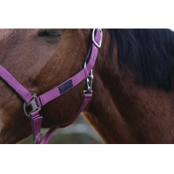 Nylonhalfter Spring Equithème Nylonhalfter Spring Equithème