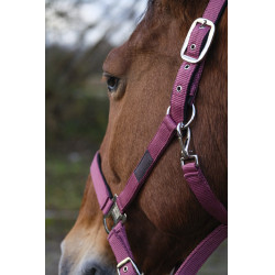 Nylonhalfter Spring Equithème Nylonhalfter Spring Equithème