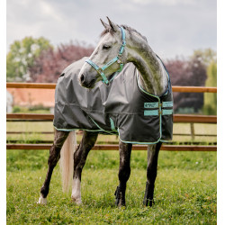 Pferdedecke Horseware Amigo Hero Ripstop 50g Pferdedecke Horseware Amigo Hero Ripstop 50g