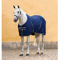 Boxerdecke Horseware Rambo bedrucktes Innenfutter