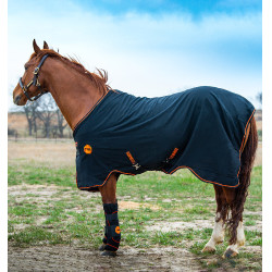 Stalldecke Horseware Rambo Ionic