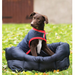 Rambo Hundedecke Horseware wasserdicht 100g