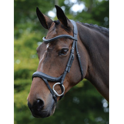 Anatomisches Zaumzeug Collegiate ComFiTec Vogue Schwarz