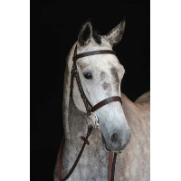 Bridon Collegiate Cavesson IV Schwarz