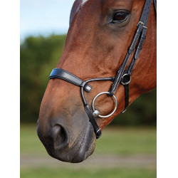 Bridon Collegiate ComFiTec Schwarz