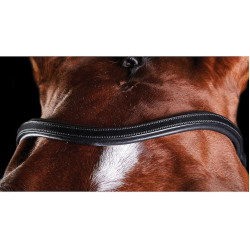 Bridon Collegiate ComFiTec Schwarz