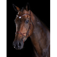 Bridon Collegiate ComFiTec Braun