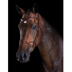 Bridon Collegiate ComFiTec Braun Bridon Collegiate ComFiTec Braun