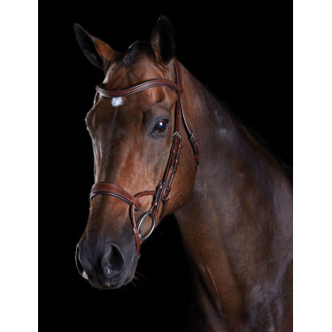 Bridon Collegiate ComFiTec Braun Bridon Collegiate ComFiTec Braun