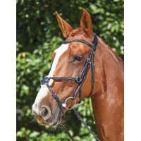 Bridon Collegiate ComFiTec Grackle Schwarz Bridon Collegiate ComFiTec Grackle Schwarz