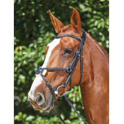 Bridon Collegiate ComFiTec Grackle Schwarz