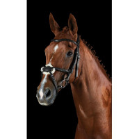 Bridon Collegiate ComFiTec Grackle Schwarz Bridon Collegiate ComFiTec Grackle Schwarz