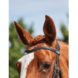 Bridon Collegiate ComFiTec Grackle Schwarz