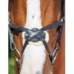 Bridon Collegiate ComFiTec Grackle Schwarz