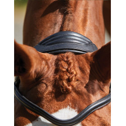 Bridon Collegiate ComFiTec Grackle Schwarz