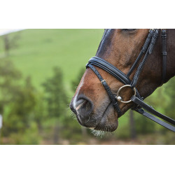 Kombiniertes Reithalfter-Trensenzaum Collegiate Syntovia+ Schwarz Kombiniertes Reithalfter-Trensenzaum Collegiate Syntovia+ Schwarz