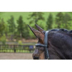 Kombiniertes Reithalfter-Trensenzaum Collegiate Syntovia+ Schwarz Kombiniertes Reithalfter-Trensenzaum Collegiate Syntovia+ Schwarz