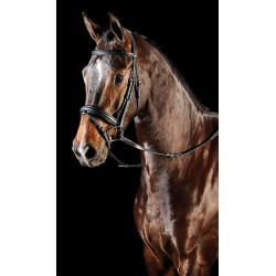 Kombiniertes Reithalfter-Trensenzaum Collegiate Syntovia+ Schwarz Kombiniertes Reithalfter-Trensenzaum Collegiate Syntovia+ Schwarz