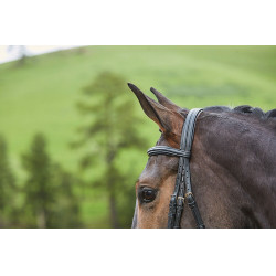 Kombiniertes Reithalfter-Trensenzaum Collegiate Syntovia+ Schwarz Kombiniertes Reithalfter-Trensenzaum Collegiate Syntovia+ Schwarz