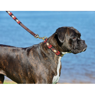 Hundehalsband Weatherbeeta Leder Polo Marron cowdray / schwarz / rot / weiß Mehrfarbig