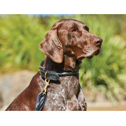 Hundehalsband Weatherbeeta rundes Leder Hundehalsband Weatherbeeta rundes Leder