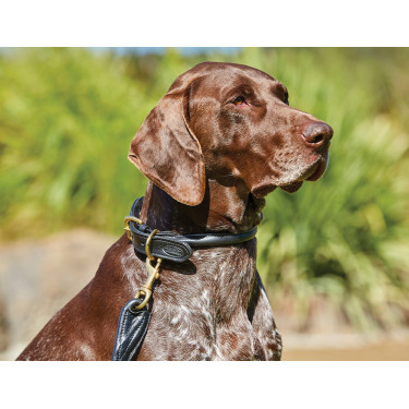 Hundehalsband Weatherbeeta rundes Leder Hundehalsband Weatherbeeta rundes Leder