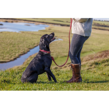 Collier pour chien Weatherbeeta cuir rond Bordeaux
