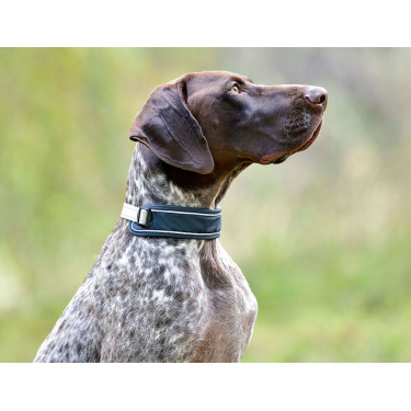Hundehalsband Weatherbeeta Explorer Hundehalsband Weatherbeeta Explorer
