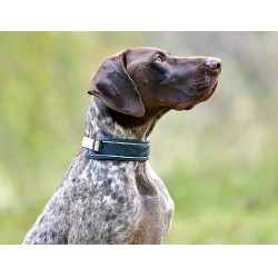 Hundehalsband Weatherbeeta Explorer Marine Marineblau
