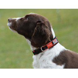 Hundehalsband Weatherbeeta Therapy-Tec