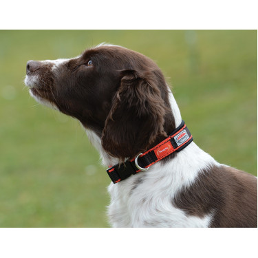 Hundehalsband Weatherbeeta Therapy-Tec