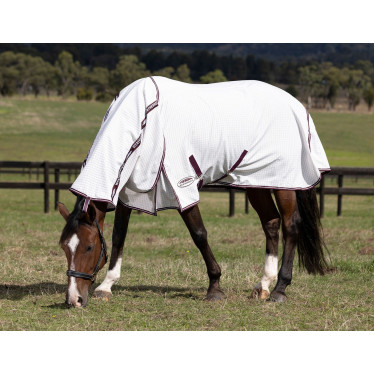 Weatherbeeta Hybrid Combo Sommerdecke Weatherbeeta Hybrid Combo Sommerdecke