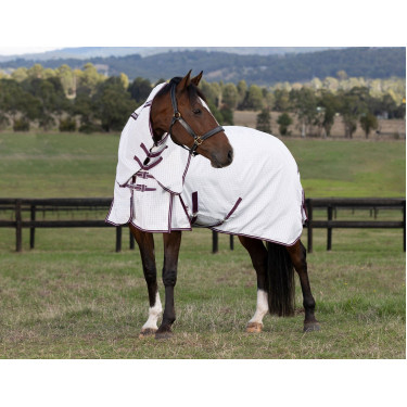 Weatherbeeta Hybrid Combo Sommerdecke Weatherbeeta Hybrid Combo Sommerdecke