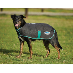 Hundedecke 220g Weatherbeeta Green-Tec 900D Schwarz / Flaschengrün
