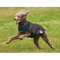 Hundedecke 100g Weatherbeeta ComFiTec Ultra Cozi Anthrazit / Blau / Weiß