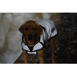 Hundedecke 220g Weatherbeeta reflektierend Hundedecke 220g Weatherbeeta reflektierend