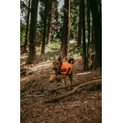 Couverture pour chien Weatherbeeta 300D réflechissante Orange Couverture pour chien Weatherbeeta 300D réflechissante Orange