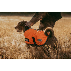 Couverture pour chien Weatherbeeta 300D réflechissante Orange Couverture pour chien Weatherbeeta 300D réflechissante Orange