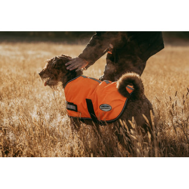 Reflektierende Hundedecke Weatherbeeta 300D Reflektierende Hundedecke Weatherbeeta 300D