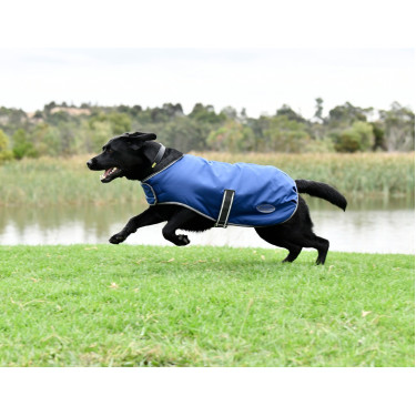 Weatherbeeta ComFiTec Hundedecke Weatherbeeta ComFiTec Hundedecke